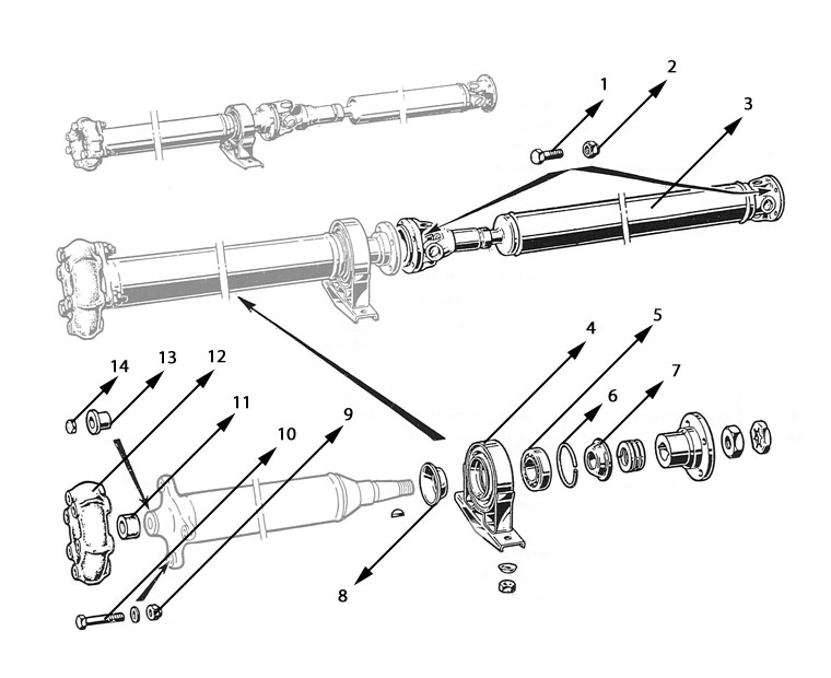 Cardanas 003